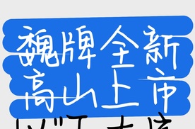 【乐阳频道】长城用35年造车执念  把百万级配置打到30万级！