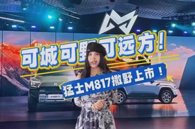 可城可野可远方，猛士M817撒野上市