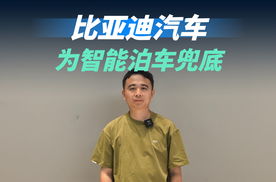 为智能泊车兜底，比亚迪辅助驾驶功能再“突破”，展现企业硬实力