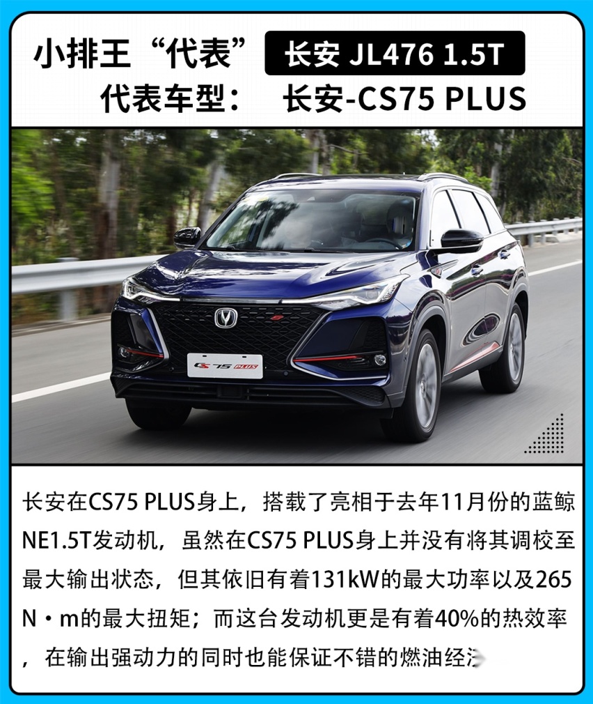明明大家都带“T”，为什么这些小个子更加猛？