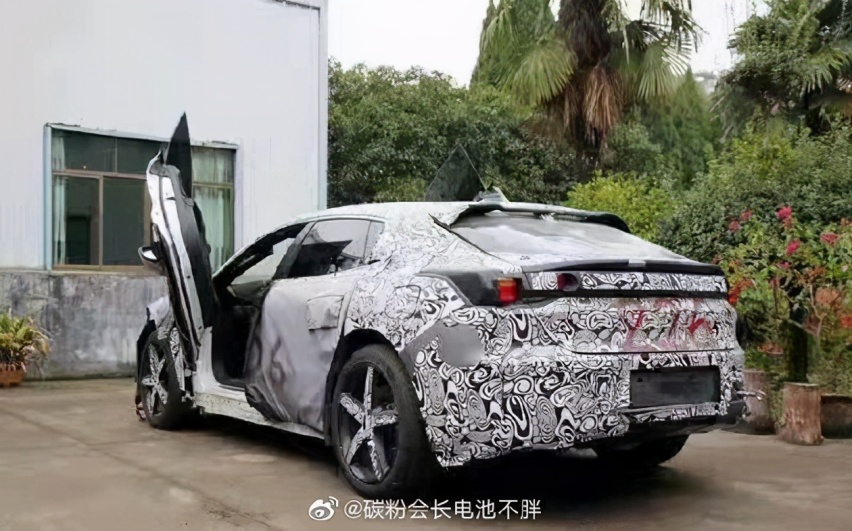 极氪001将推出剪刀门车型 价格多少你能接受？