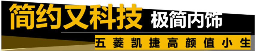 【帮你选车】5座、6座、7座不稀奇，“大四座”见过没？