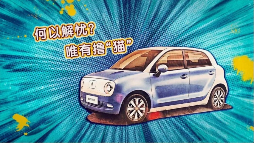 何以解忧？唯有撸“猫”！7万级纯电小车化解铲屎烦恼