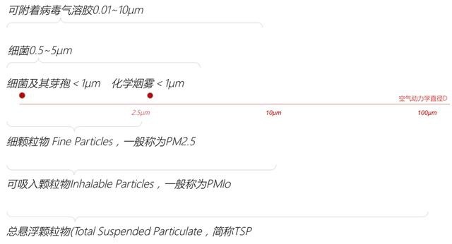 我们为什么买福克斯，理由一定要加上这个...