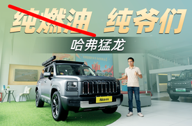 不含补贴！到店看哈弗猛龙，燃油版更值？