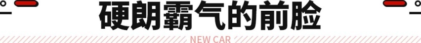圆你皮卡梦！这新车搭载V8+四驱+主动放气 悍马都弱爆了