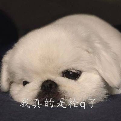 雪碧告别了60年的绿瓶，Ta告别了6年前的自己