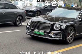 15个品牌的新能源汽车合集，宾利飞驰插电混动、保时捷Taycan