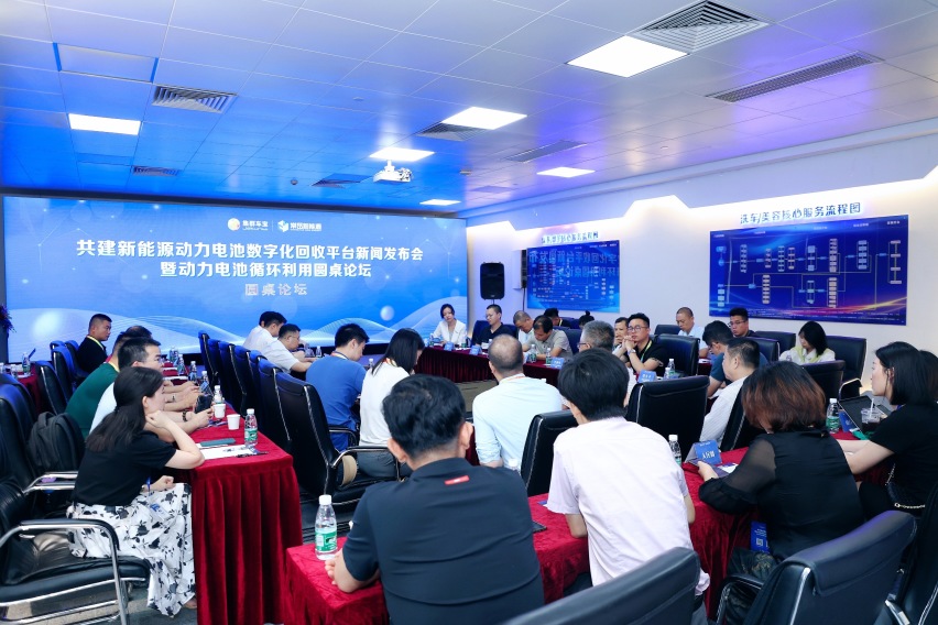 这靠谱吗？输入车牌号或车架号，就能查自家车的电池还值多少钱