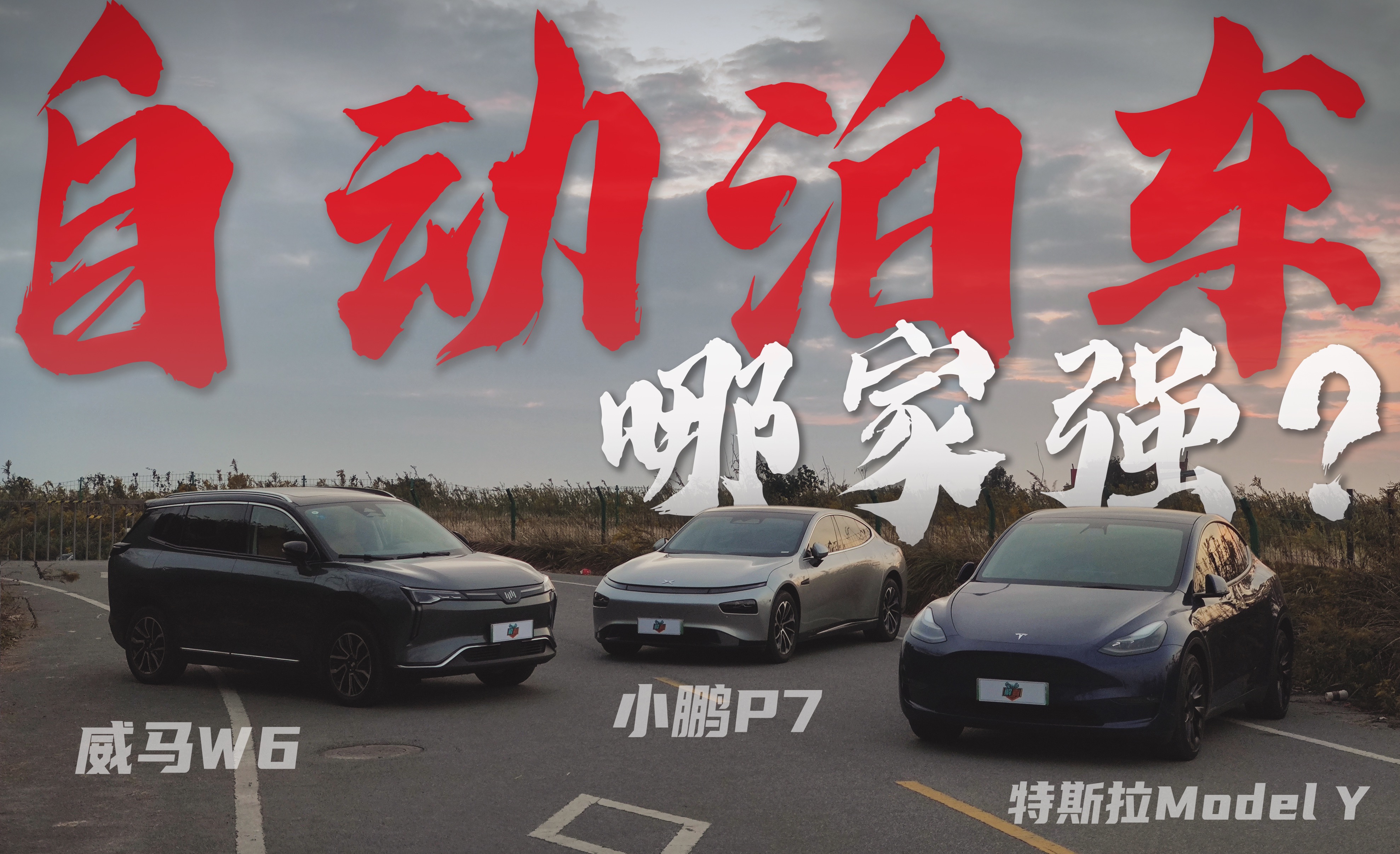 ˹Model Y/СiP7/RW6lܽQͣ܇y?