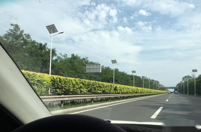 为什么越来越多的车主愿意选择普利司通等品牌轮胎？