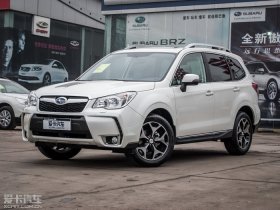 2014��ɭ���� 