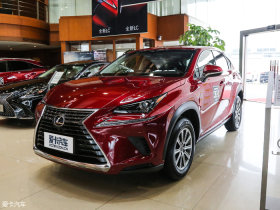 2018���׿���˹NX 