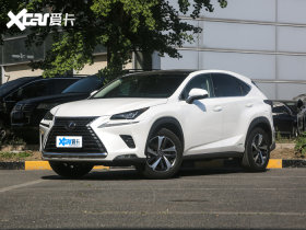 2020���׿���˹NX 