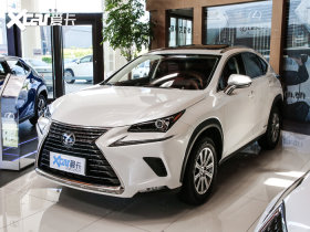 2020���׿���˹NX 