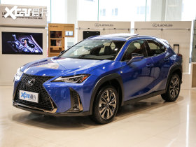 2020���׿���˹UX 