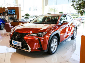 2020���׿���˹UX 