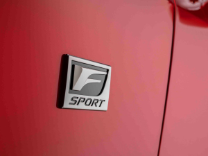 2021500 F SPORT Performance  ϸ