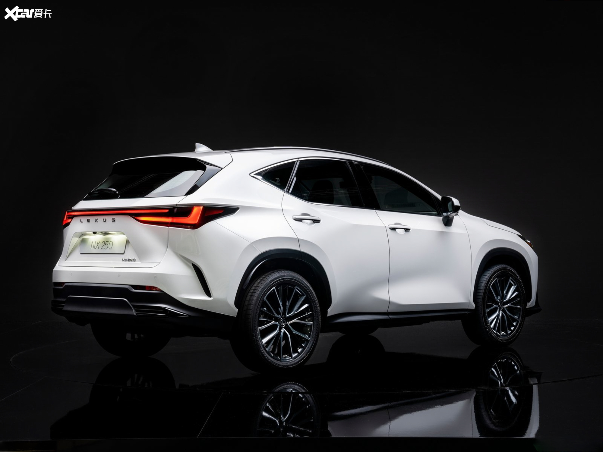 【2022款雷克萨斯nx250_整体外观_3/3张图片】_汽车图片大全_爱卡汽车