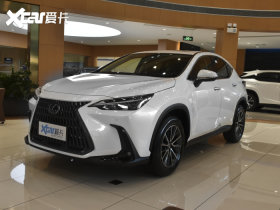 2022���׿���˹NX 