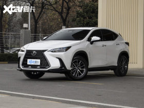 2022���׿���˹NX 