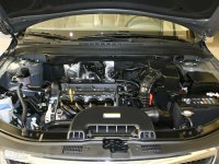 ���������ִ�i30����