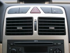 ������� 2010�����307����