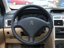 ������� 2010�����307����