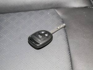 2022款EV460 智行网约版 磷酸铁锂 车钥匙