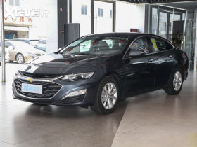 2023������XL 