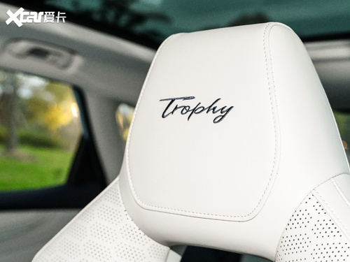 2021款 MG领航新能源  Trophy系列 1.5T 混动Trophy旗舰版