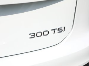 2023300TSI Plusװ ϸ