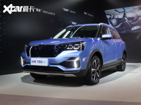 2020������T60EV 