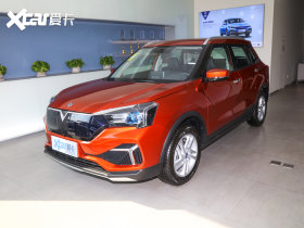 2020������T60EV 