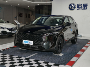 2022260T 桤 ǰ45