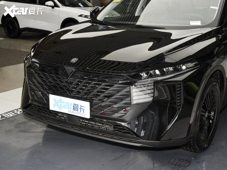 2023V 260T  Pro