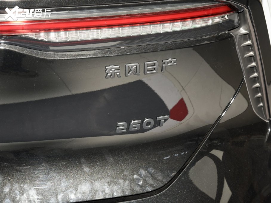 2023V 260T  Pro