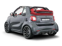 ۲ smart fortwo