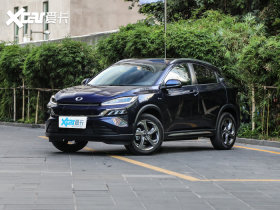 2021��籾��M-NV 