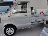 ���ϸ�ڶ���С��V21���ϸ��