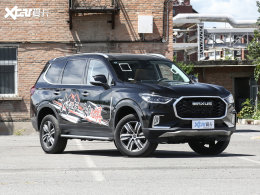 ������ͨMAXUS�¿�D90 Pro��ʽ����ä��