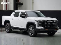 ��������Ǽ�X�������