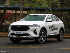 2019�����F7x 