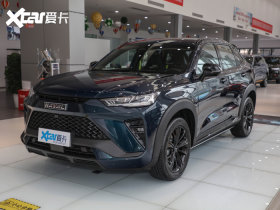 2021�����H6S 