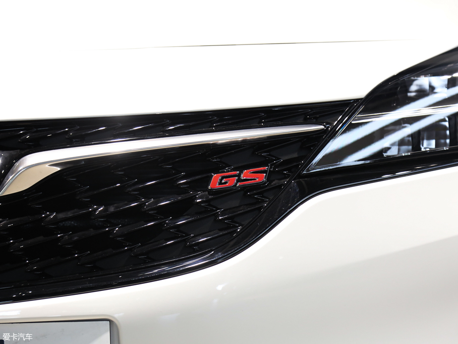 2019GS GS 20T ˫Ϻ