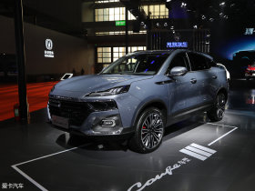 2019���Ա�Coupe 