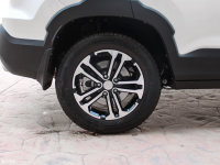 ���ϸ�ڱ���T3��Ȧ