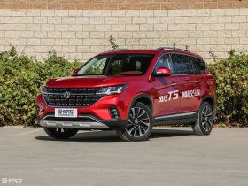 2018�����T5 