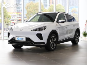 2022��� ������T(ARCFOX ��T) 