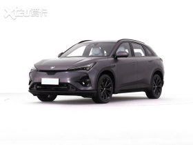 2024��� ������T5(ARCFOX ��T5) 
